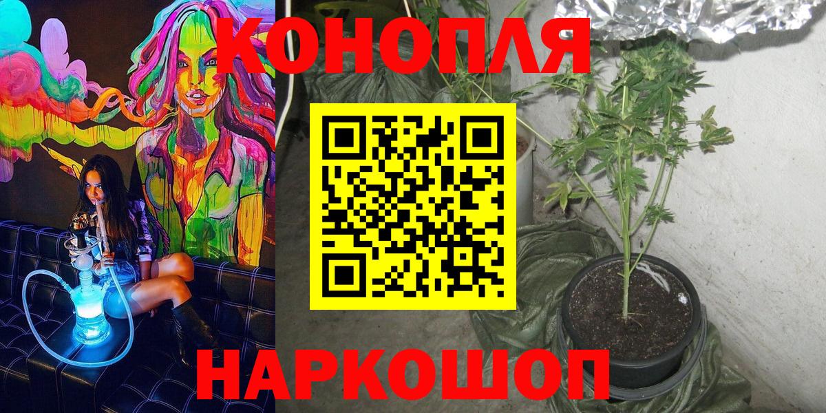 Каннабис план Киров